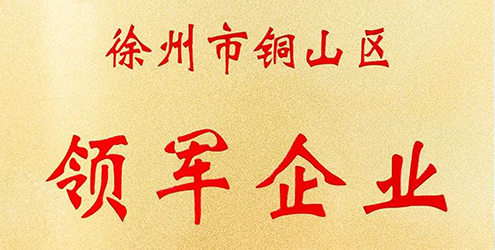 9001cc金沙以诚为本获徐州市铜山区年度“领军企业”表彰！